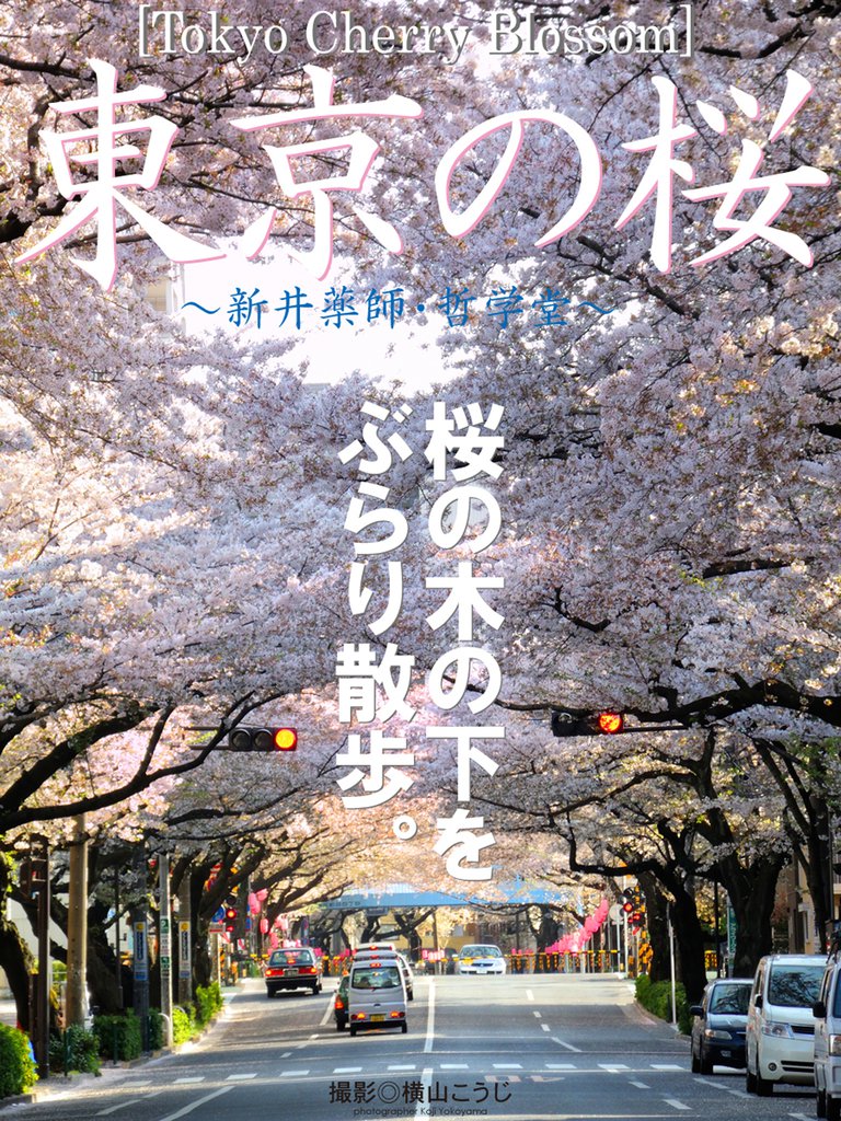 Tokyo Cherry Blossom　東京の桜　～新井薬師・哲学堂～