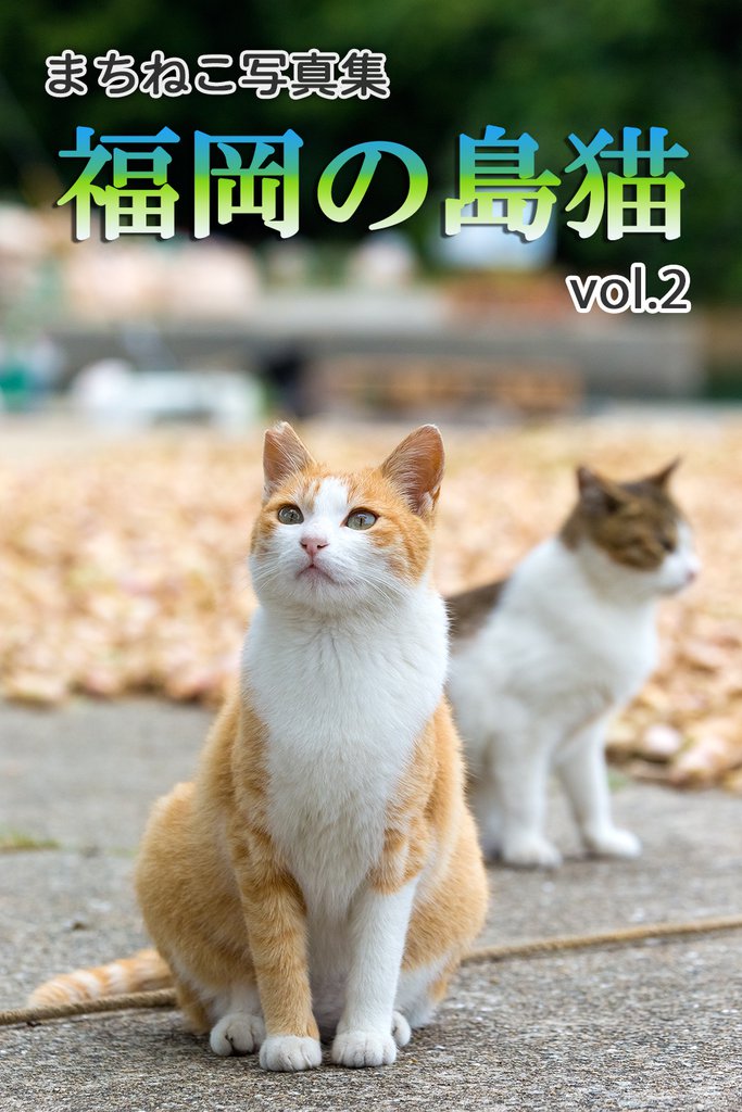 まちねこ写真集・福岡の島猫 vol.2