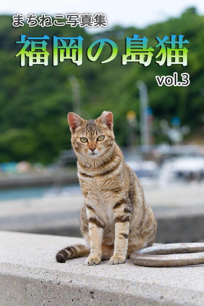 まちねこ写真集・福岡の島猫 vol.3