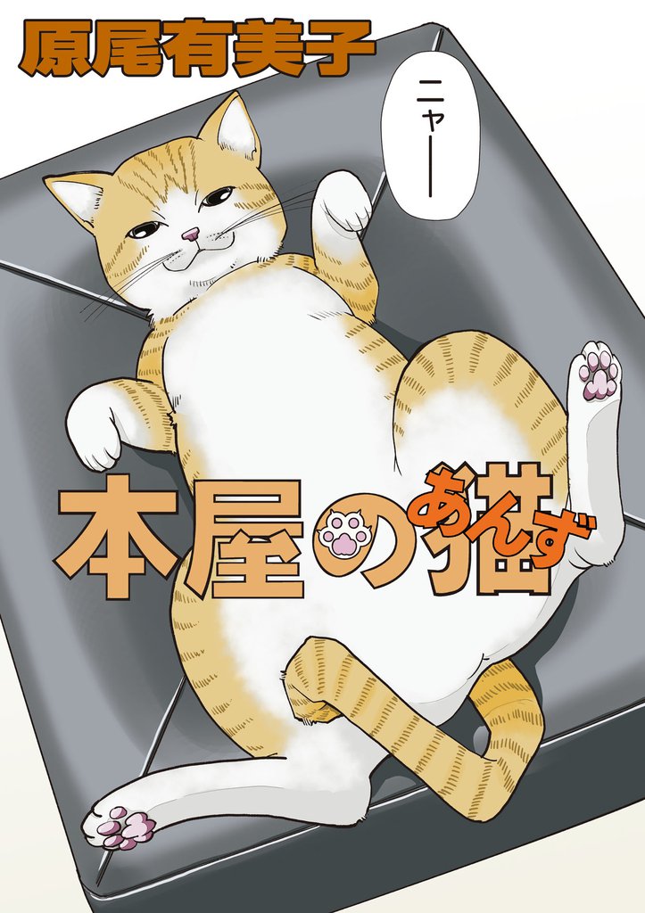 本屋の猫（あんず）