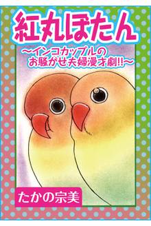 オトコのいる部屋 スキマ 全巻無料漫画が32 000冊読み放題