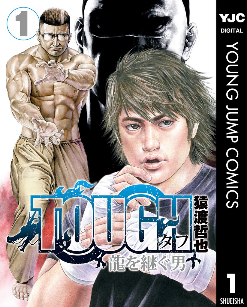 TOUGH タフ 高校鉄拳伝 1～42巻 灘神影流 1～39巻 龍を継ぐ男 外伝 