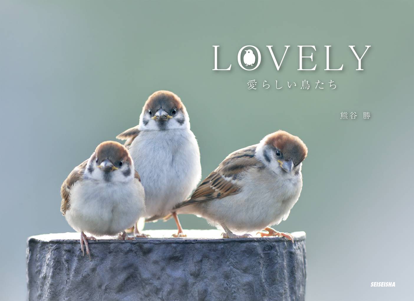 LOVELY 愛らしい鳥たち