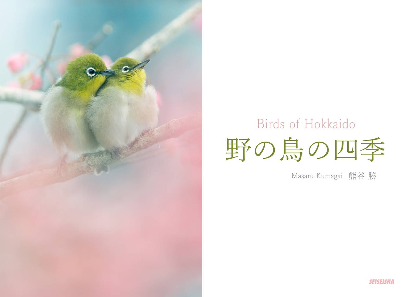 野の鳥の四季 Birds of Hokkaido