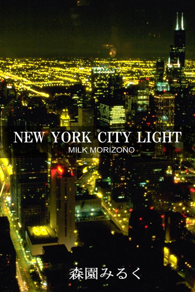 NEW YORK CITY LIGHT