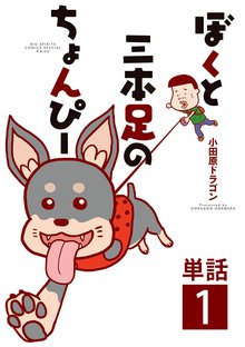 今夜は車内でおやすみなさい。1～11巻＋ぼくと三本足のちょんぴ 1-2巻 Amazon.co.jp: 今夜は車内でおやすみなさい。(1) (ヤング