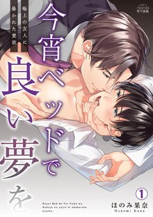 
  今宵ベッドで良い夢を～極上の友人に暴かれた愛欲

