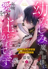 幼なじみ魔術師様に毎晩愛を注がれてます こじれた再会はベッドの上で（分冊版）